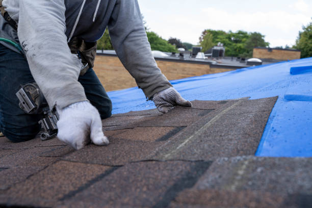 Best Storm Damage Roof Repair  in Dallas Center, IA