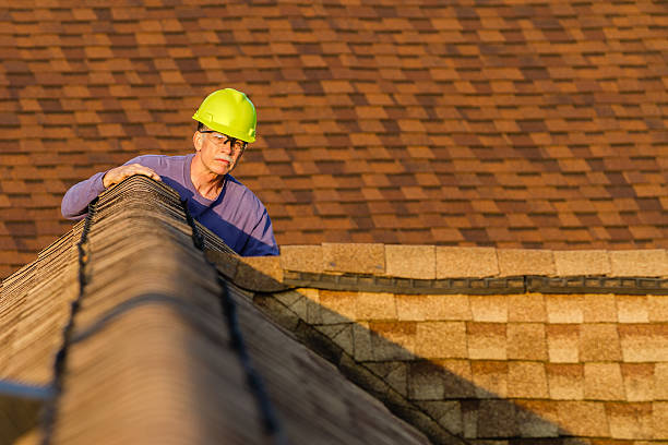 Best Roof Maintenance Services  in Dallas Center, IA