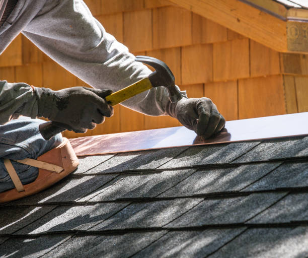 Best Roof Gutter Cleaning  in Dallas Center, IA